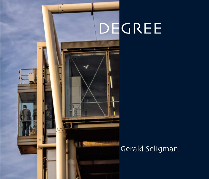 View Degree - Softcover Edition by Gerald Seligman