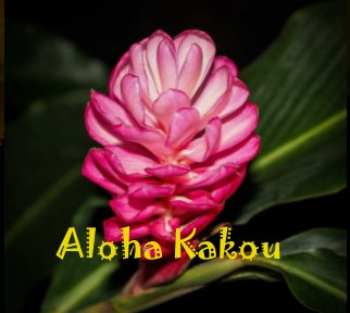 Aloha Kakou book cover