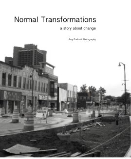 Normal Transformations a story about change book cover