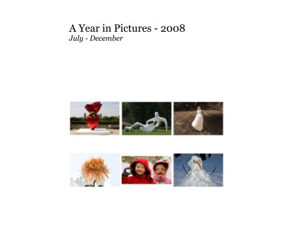 A Year in Pictures - 2008 July - December book cover