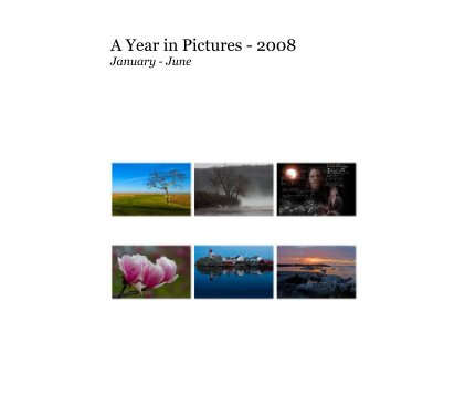 A Year in Pictures - 2008 January - June book cover