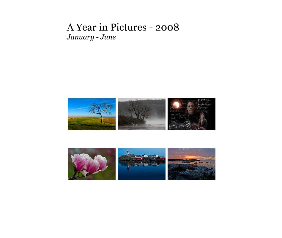 View A Year in Pictures - 2008 January - June by ErikAnestad