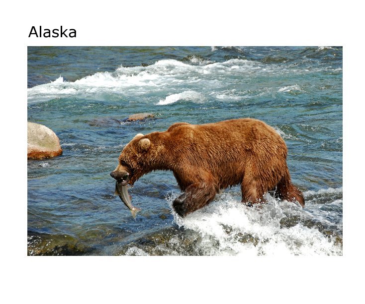 Ver Alaska 2008 por svv313