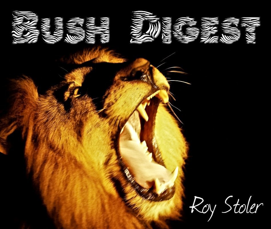 Ver Bush Digest por Roy Stoler
