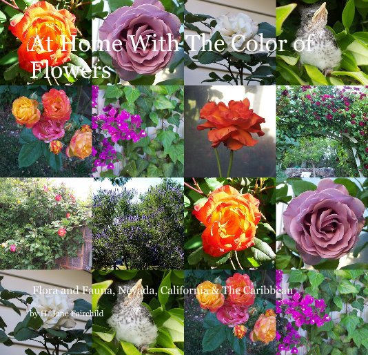 Ver At Home With The Color of Flowers por H. Jane Fairchild