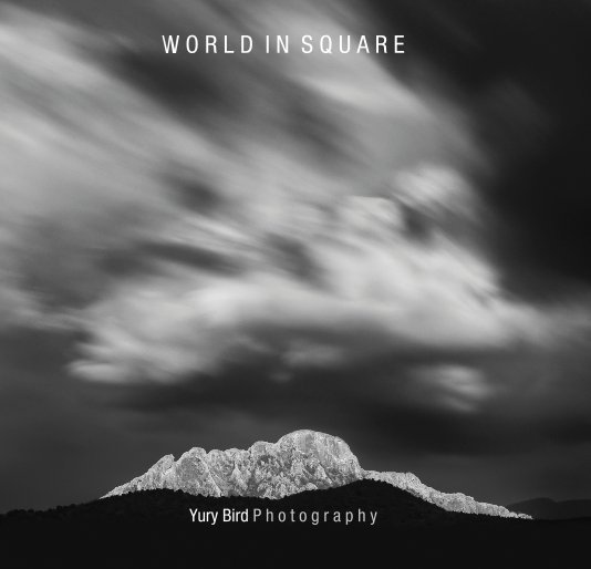 View WORLD IN SQUARE by Yury Bird