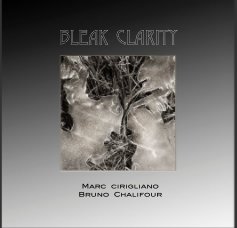 Bleak Clarity book cover