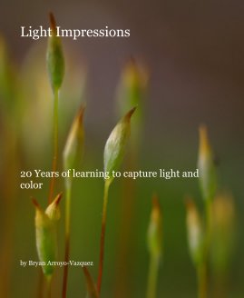 Light Impressions book cover