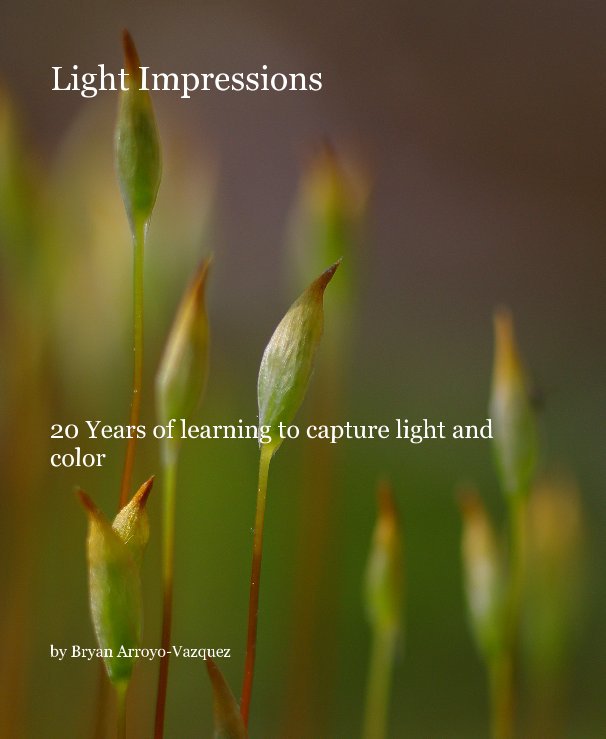 View Light Impressions by Bryan Arroyo-Vazquez