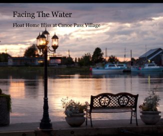 Facing The Water book cover