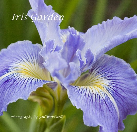 View Iris Garden by Gail Wardwell