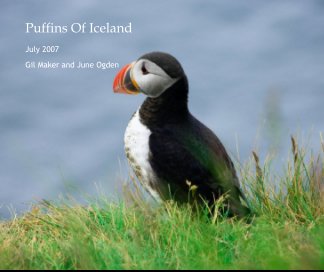 Puffins Of Iceland book cover