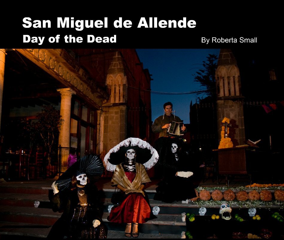 View San Miguel De Allende by Roberta Small