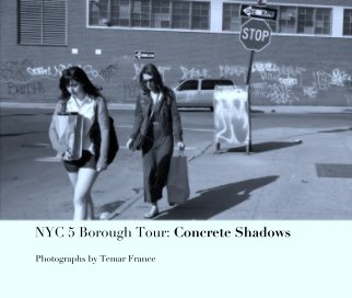 NYC 5 Borough Tour: Concrete Shadows book cover