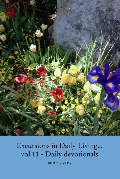 Ver Excursions in Daily Living... vol 11 - Daily devotionals por ann t. evans
