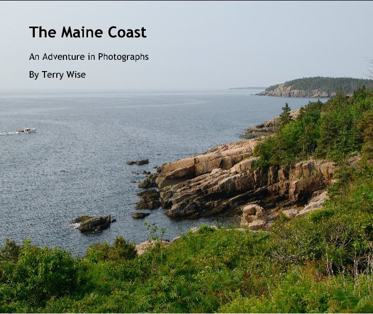 View The Maine Coast by Terry Wise