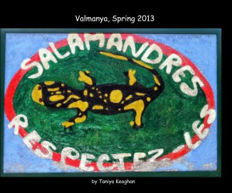 Valmanya, Spring 2013 book cover
