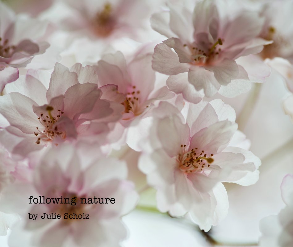 Ver following nature por Julie Scholz