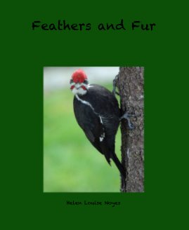 Feathers and Fur book cover