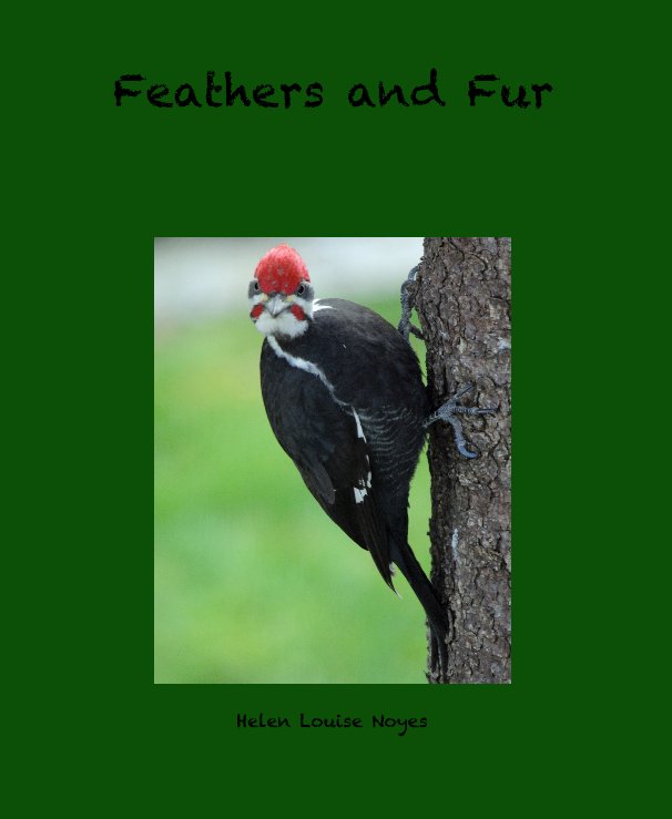 Ver Feathers and Fur por Helen Louise Noyes