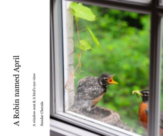 A Robin named April book cover