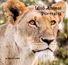 Wild Animal Portraits book cover