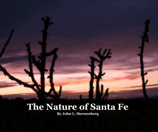 The Nature of Santa Fe By John L. Sternenberg book cover