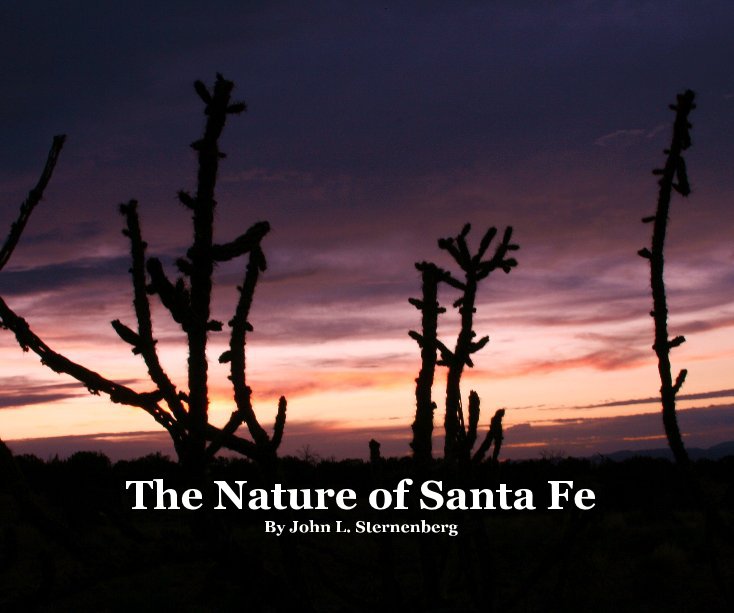 View The Nature of Santa Fe By John L. Sternenberg by John L. Sternenberg