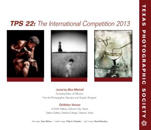 TPS 22: The International Competition 2013 book cover