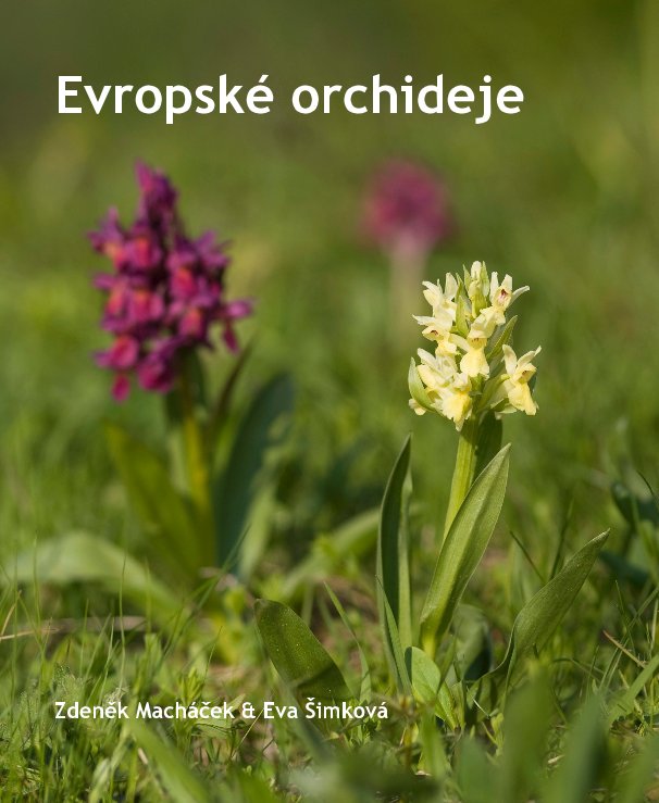 View Evropske orchideje by Zdenek Machacek & Eva Simkova