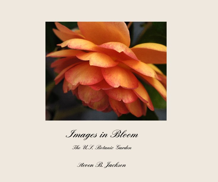 Bekijk Images in Bloom op Steven B. Jackson