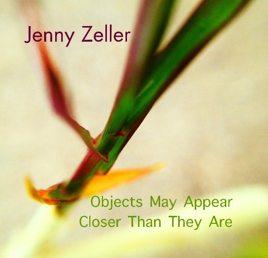 Ver Objects May Appear Closer Than They Are por Jenny Zeller