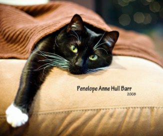 Penelope Anne Hull Barr book cover