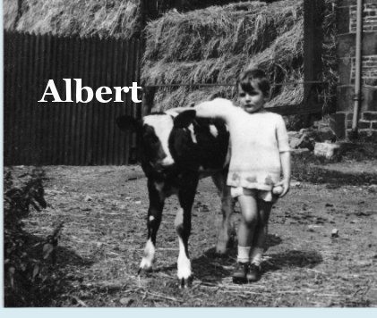 Albert book cover
