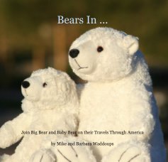 Bears In ... book cover