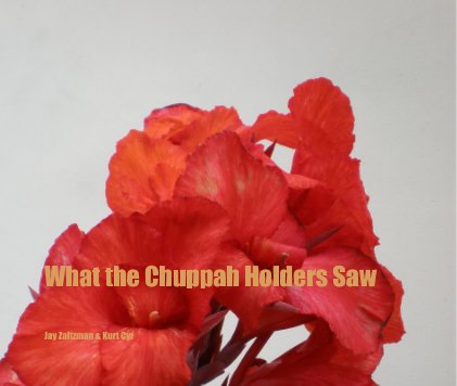 What the Chuppah Holders Saw book cover