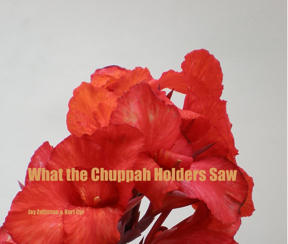 View What the Chuppah Holders Saw by Jay Zaltzman & Kurt Cyr