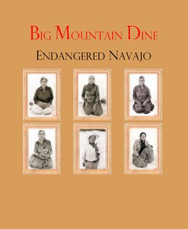 Big Mountain Dine book cover