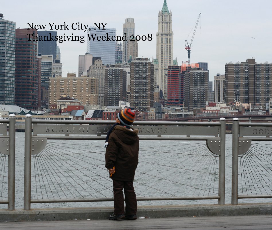 Bekijk New York City, NY Thanksgiving Weekend 2008 op anulal