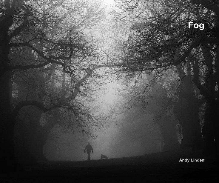 Ver Fog por Andy Linden