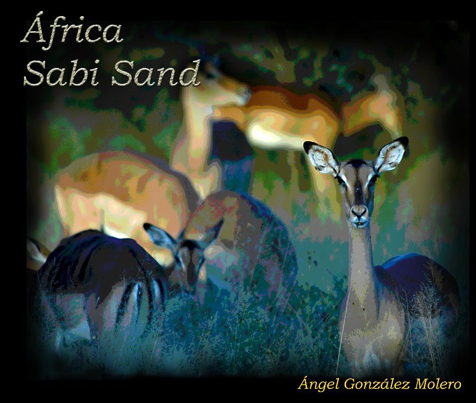 Ver Africa Sabi Sand por agmolero
