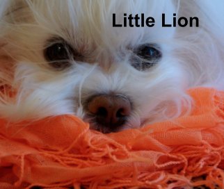 Little Lion book cover