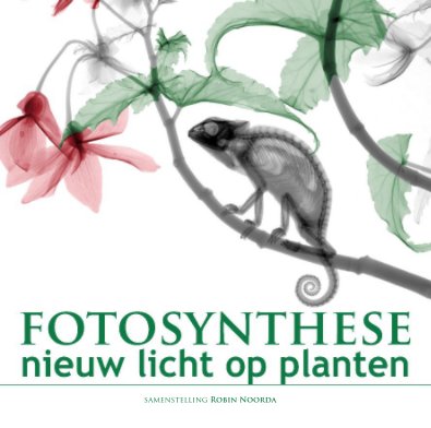 Fotosynthese book cover