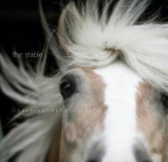 the stable book cover