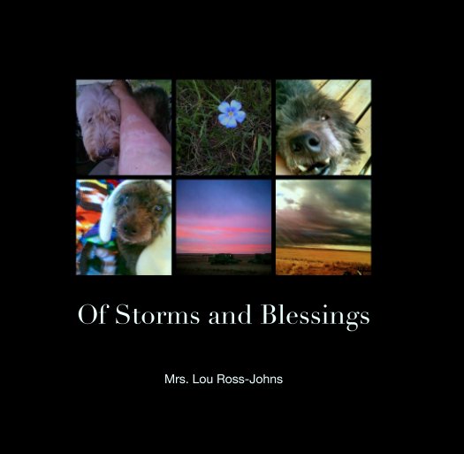View Of Storms and Blessings by Mrs. Lou Ross-Johns