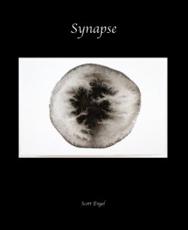 Synapse book cover