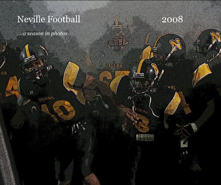 View Neville Football 2008 by Lisa Campbell