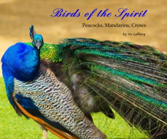 Birds of the Spirit book cover