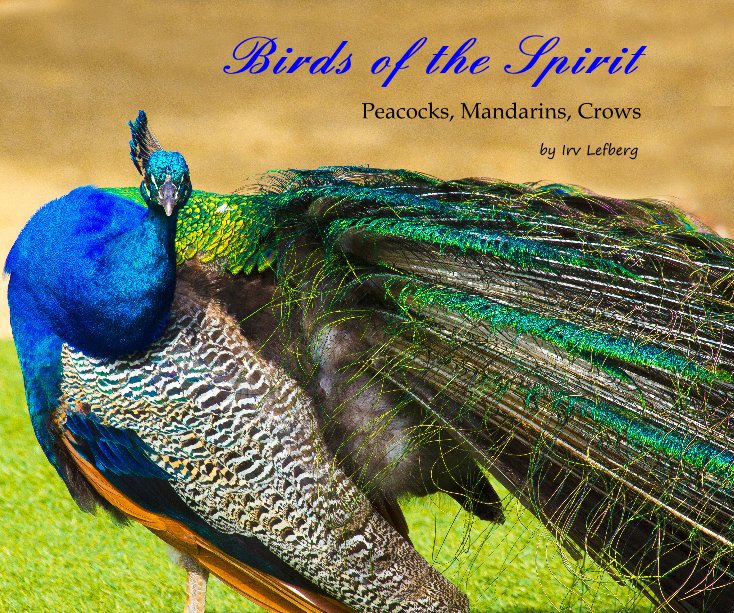 View Birds of the Spirit by Irv Lefberg