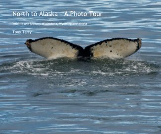 North to Alaska - A Photo Tour book cover